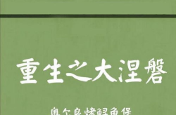 重生之大涅磐,大涅磐的辉煌蜕变