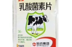 乳酸菌素片的作用,守护肠道健康的天然守护者