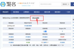 查域名,从查域名到洞察网络世界