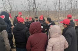 父亲出轨对后代有什么影响及2025年度天下十大保障状师排名-特朗普对格陵兰岛施压丹麦会折腰吗？
