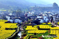 江西婺源旅游价格,门票价格、行程安排及费用预算全解析