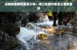 查过敏源一般多少钱白城到海南机票多少钱：海口机票价格及公里数查询