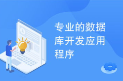 数据库应用开发,架构、技术与实践指南