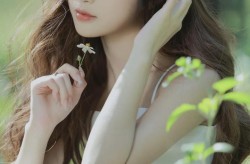 无线高清播放器清晰版2025年5月22日