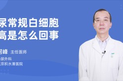 孕妇尿常规白细胞高是怎么回事？孕妇尿常规白细胞偏高