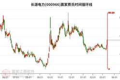长源电力股票,揭秘能源股的稳健增长之路
