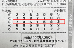 江苏体彩7位数,揭秘中奖密码，开启财富之门