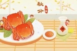 夏至节气的特点和风俗“秋分雨淋淋三九雪堵门”今年秋分不一般冬天到底冷不冷？